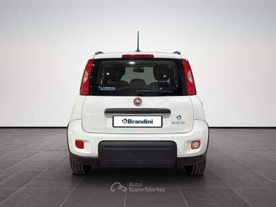 Fiat Panda  1.0 firefly hybrid city life s&s 70cv 5p.ti Bianco usata Firenze