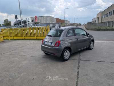 Fiat 500 1.0 Hybrid Cult Aziendale OK NEOPATENTATI Grigio usata Cremosano