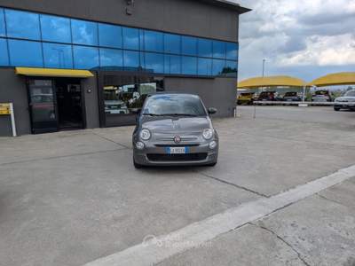 Fiat 500 1.0 Hybrid Cult Aziendale OK NEOPATENTATI Grigio usata Cremosano