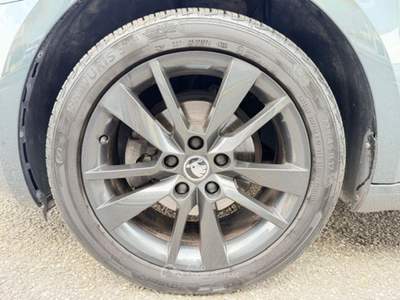 Skoda Octavia 1.6 TDI 115CV DSG Executive Grigio usata Codroipo