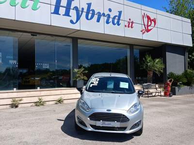 Ford Fiesta 5 porte Bz.- GPL Black & White Edition Argento usata Pignataro Interamna
