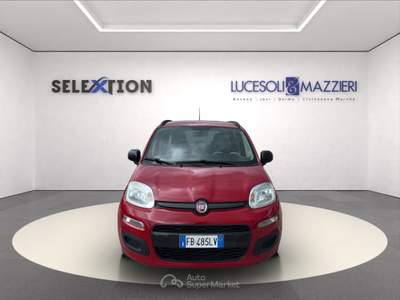 Fiat Panda  3ª serie -  1.2 easy Rosso usata Ancona
