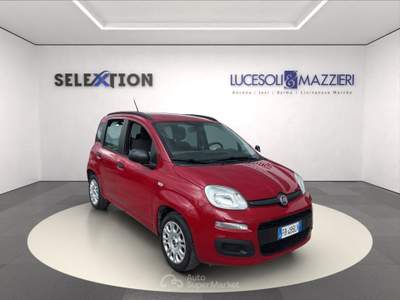 Fiat Panda  3ª serie -  1.2 easy Rosso usata Ancona