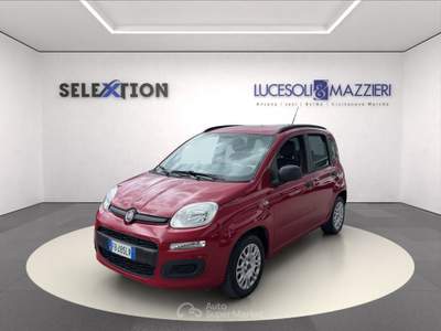 Fiat Panda  3ª serie -  1.2 easy Rosso usata Ancona