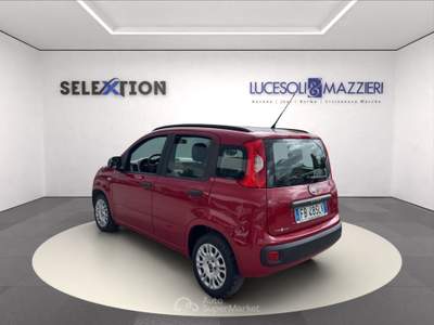 Fiat Panda  3ª serie -  1.2 easy Rosso usata Ancona