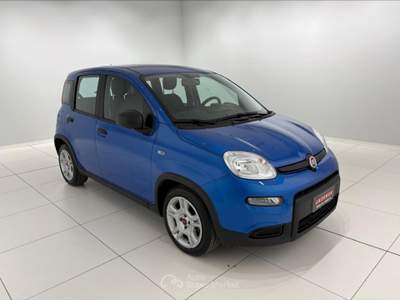 Fiat Panda Panda 1.0 firefly hybrid s&s 70cv Blu/Azzurro usata Settimo Torinese
