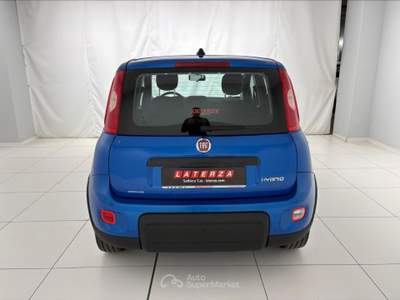 Fiat Panda Panda 1.0 firefly hybrid s&s 70cv Blu/Azzurro usata Settimo Torinese