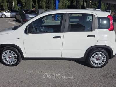 Fiat Panda Fiat Panda 1.0   FireFly S&S Hybrid 4 posti Bianco usata Deruta