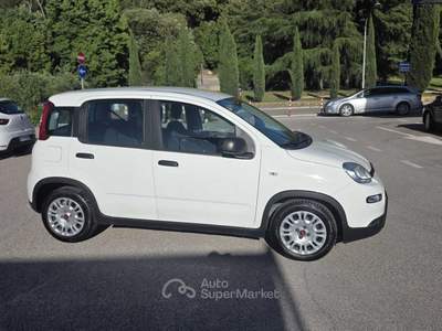 Fiat Panda Fiat Panda 1.0   FireFly S&S Hybrid 4 posti Bianco usata Deruta
