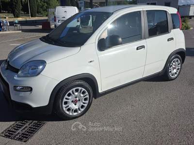 Fiat Panda Fiat Panda 1.0   FireFly S&S Hybrid 4 posti Bianco usata Deruta