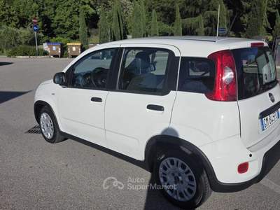 Fiat Panda Fiat Panda 1.0   FireFly S&S Hybrid 4 posti Bianco usata Deruta
