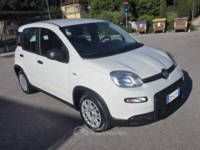 Fiat Panda Fiat Panda 1.0   FireFly S&S Hybrid 4 posti Bianco usata Deruta