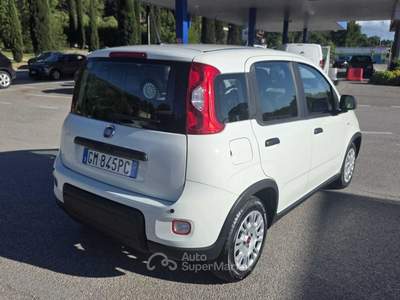 Fiat Panda Fiat Panda 1.0   FireFly S&S Hybrid 4 posti Bianco usata Deruta