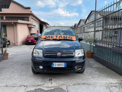 Fiat Panda Dynamic Natural Power METANO usata Prevalle
