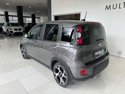 Fiat Panda 1.0 FireFly S&S Hybrid Sport Grigio usata Ripalimosani