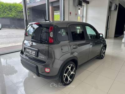 Fiat Panda 1.0 FireFly S&S Hybrid Sport Grigio usata Ripalimosani