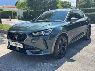 Cupra Formentor 2.0 TSI 4Drive DSG VZ Grigio usata Mirano