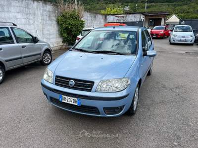 Fiat Punto 1.2 5 porte Active Natural Power Blu/Azzurro usata Palma Campania