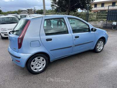 Fiat Punto 1.2 5 porte Active Natural Power Blu/Azzurro usata Palma Campania