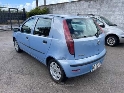 Fiat Punto 1.2 5 porte Active Natural Power Blu/Azzurro usata Palma Campania