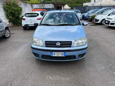 Fiat Punto 1.2 5 porte Active Natural Power Blu/Azzurro usata Palma Campania