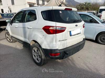 Ford EcoSport EcoBoost 100 CV Plus Bianco usata Palma Campania