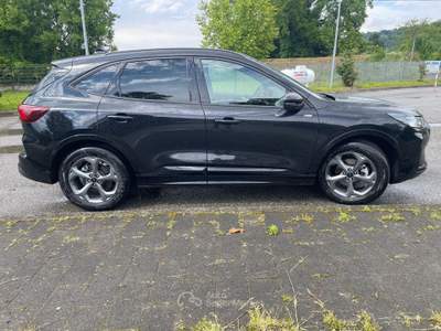 Ford Kuga Ford Kuga 2.5 Duratec FHEV HEV ST Line #10885 Nero usata Moncalieri