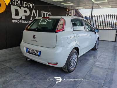Fiat Punto Punto 5p 1.4 easypower Street (easy) Gpl Bianco usata Marano di Napoli