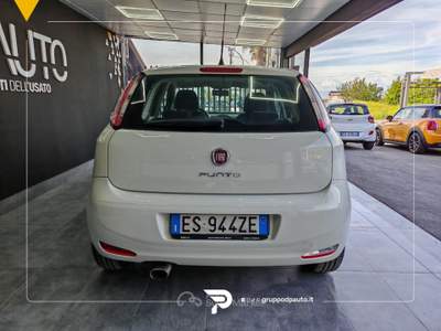Fiat Punto Punto 5p 1.4 easypower Street (easy) Gpl Bianco usata Marano di Napoli
