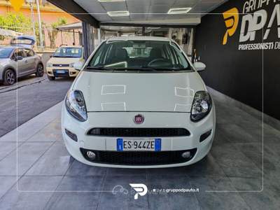 Fiat Punto Punto 5p 1.4 easypower Street (easy) Gpl Bianco usata Marano di Napoli