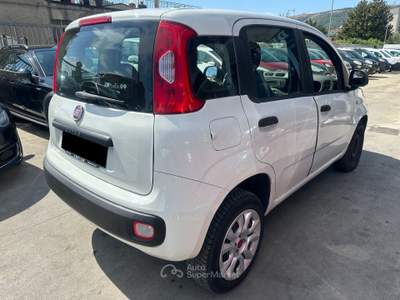 Fiat Panda OTTIMO STATO Bianco usata Maddaloni