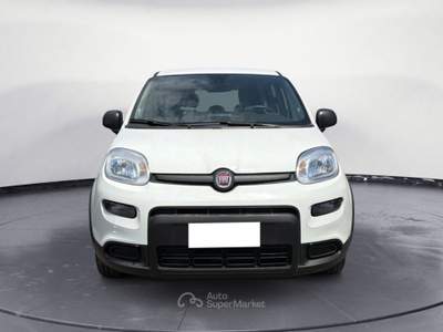 Fiat Panda 1.0 Bianco usata MESSINA