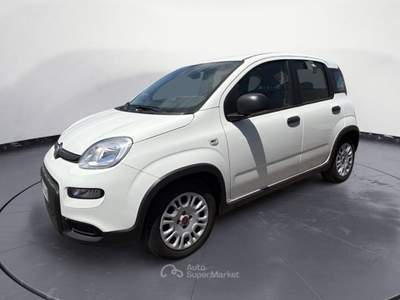 Fiat Panda 1.0 Bianco usata MESSINA