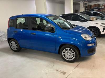 Fiat Pandina 1.0 FireFly 65cv S&S 6m Hybrid Pop Blu/Azzurro usata Ciriè