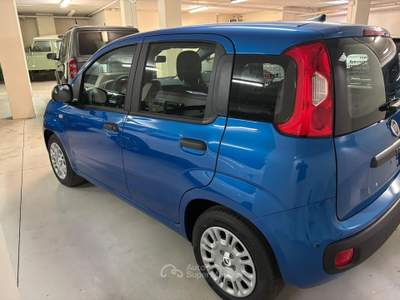 Fiat Pandina 1.0 FireFly 65cv S&S 6m Hybrid Pop Blu/Azzurro usata Ciriè