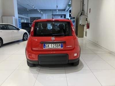 Fiat Panda 1.0 FireFly 70cv S&S Hybrid City Life Rosso usata Fornovo di Taro