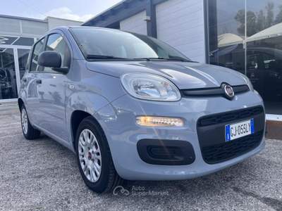 Fiat Panda Panda 1.0 FireFly S&S Hybrid Blu/Azzurro usata Mesagne