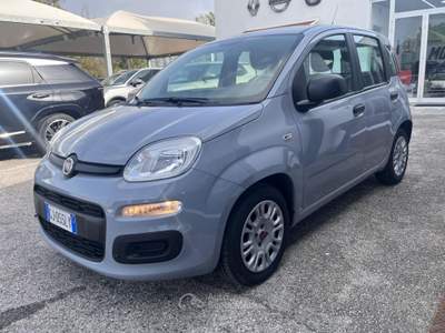 Fiat Panda Panda 1.0 FireFly S&S Hybrid Blu/Azzurro usata Mesagne