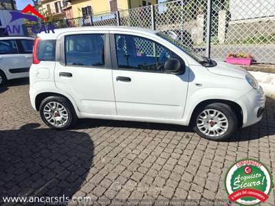 Fiat Panda 1.2 Easypower GPL Blu/Azzurro usata Grottaferrata