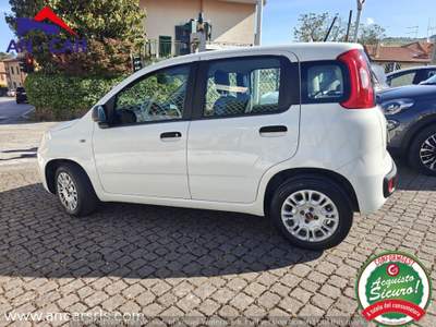 Fiat Panda 1.2 Easypower GPL Blu/Azzurro usata Grottaferrata