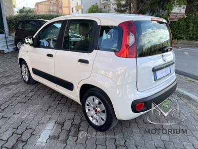 Fiat Panda 1.3 mjt 16v Easy 75cv Bianco usata San Giorgio del Sannio