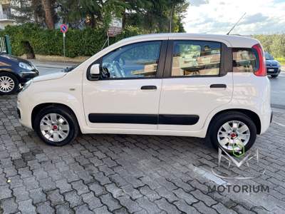 Fiat Panda 1.3 mjt 16v Easy 75cv Bianco usata San Giorgio del Sannio