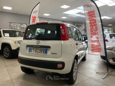 Fiat Panda Turbo Natural Power Pop Bianco usata Prato