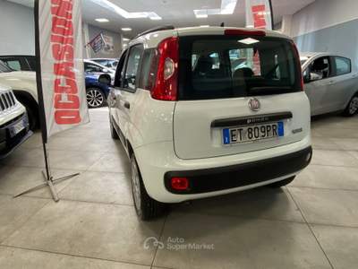 Fiat Panda Turbo Natural Power Pop Bianco usata Prato