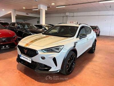 Cupra Formentor TAIGA GREY 2.5 TSI 4Drive DSG VZ5 n 456 Grigio usata Bagnaria Arsa