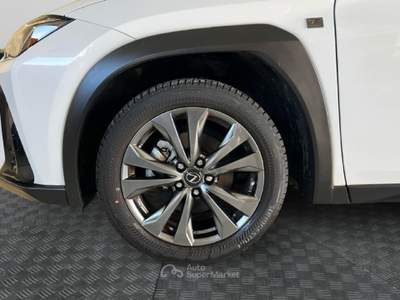 Lexus UX 2019 250h 2.0 Design 2wd cvt Nero usata Roma