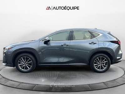 Lexus NX II 2022 350h 2.5 Business 2wd 244cv e-cvt Grigio usata Roma