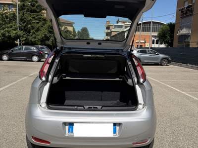 Fiat Punto Fiat Punto 1.4 METANO - NEOPATENTATI - 12 MESI DI GARANZIA - usata ARGELATO