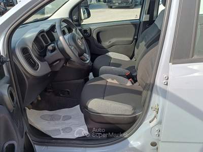 Fiat Panda 1.0 FireFly 70cv S&S Hybrid Grigio usata Veggiano