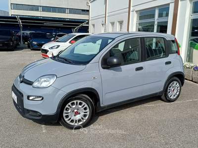 Fiat Panda 1.0 FireFly 70cv S&S Hybrid Grigio usata Veggiano